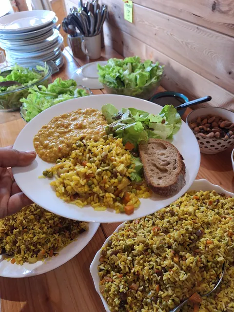 Assiette de riz briani, dahl et salade tenue au-dessus du buffet